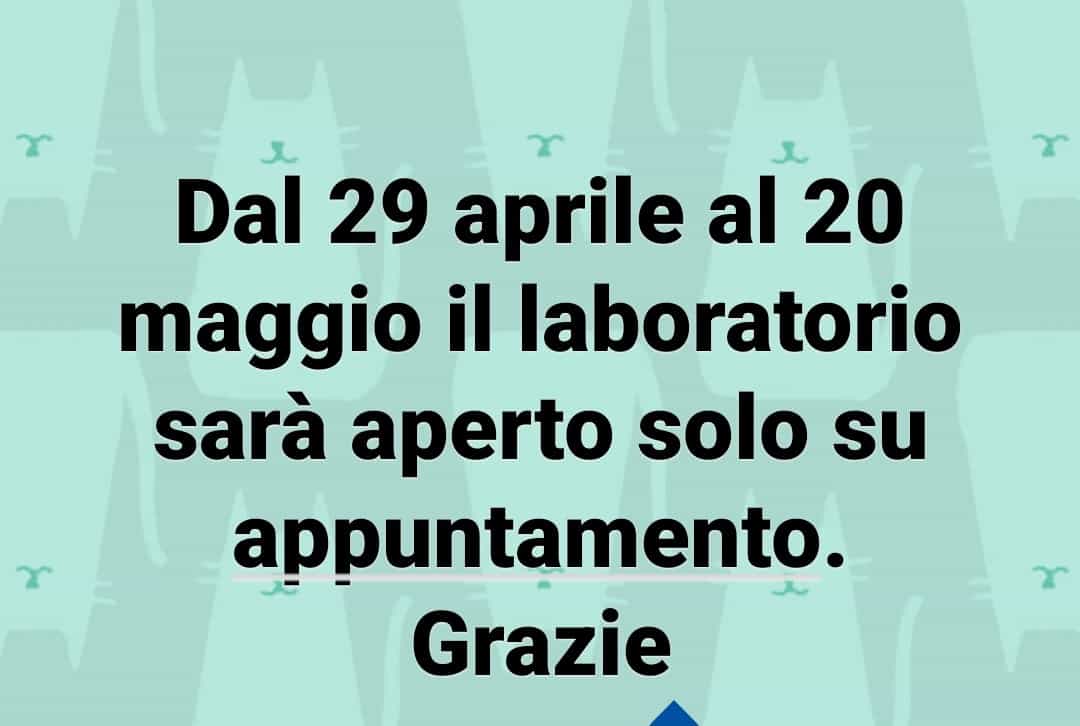 WhatsApp Image 2024-04-29 at 11.34.19